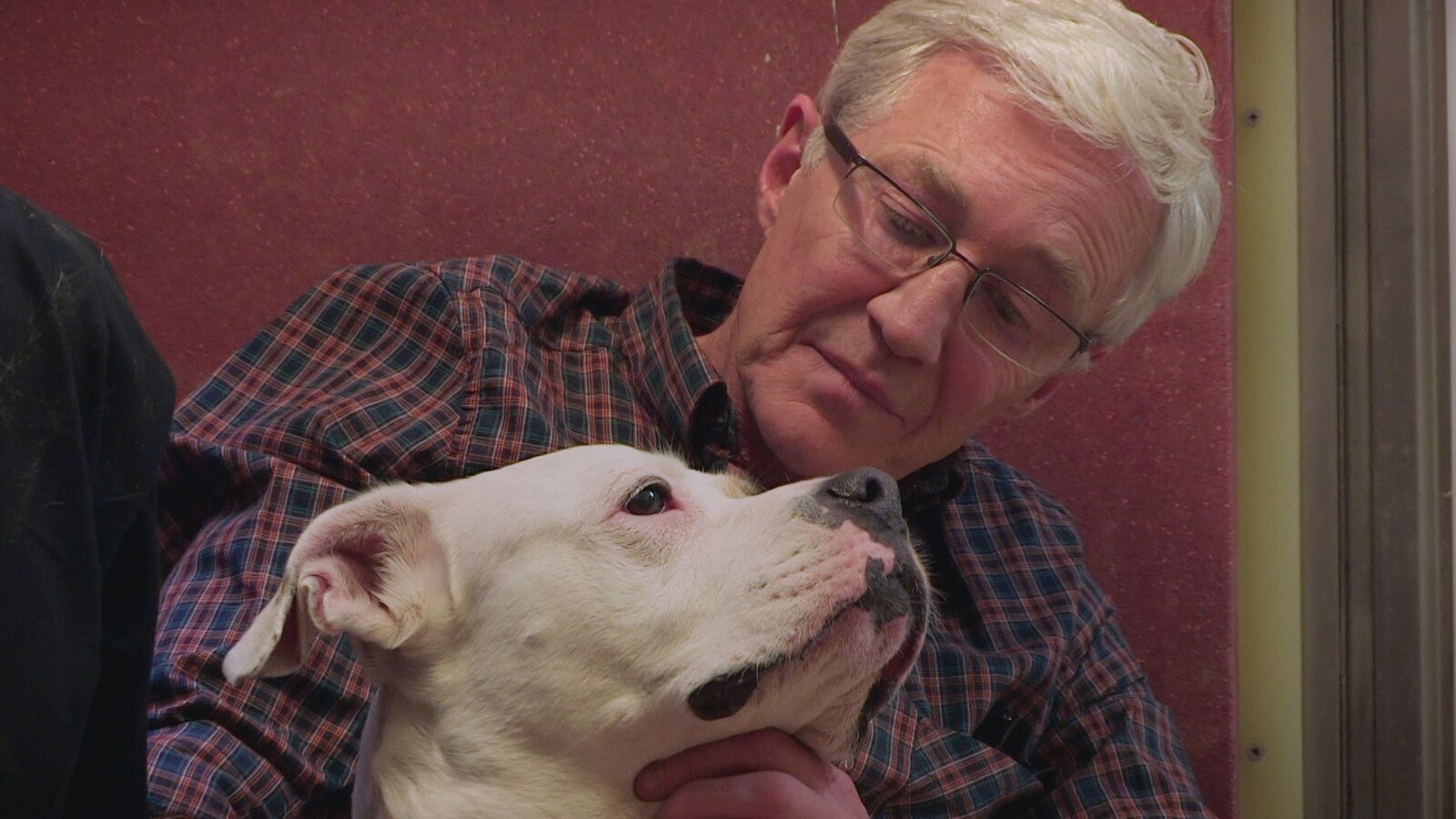 Paul O'Grady For the Love of