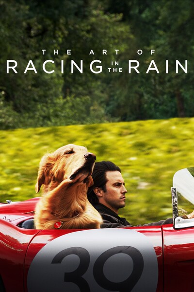 the-art-of-racing-in-the-rain-2019