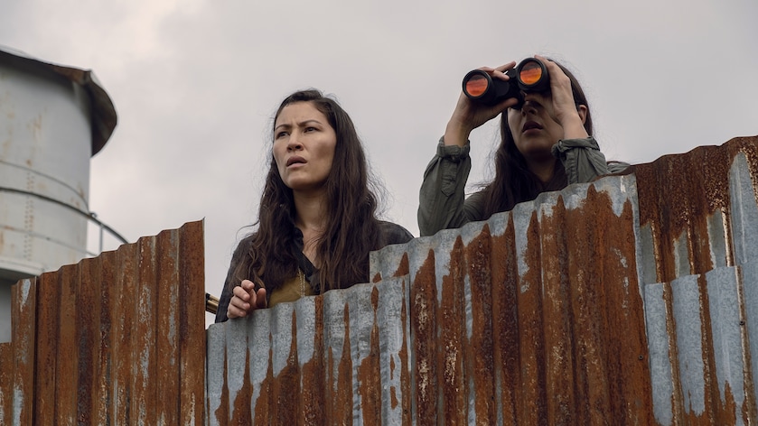The Walking Dead Season 11 Sverige