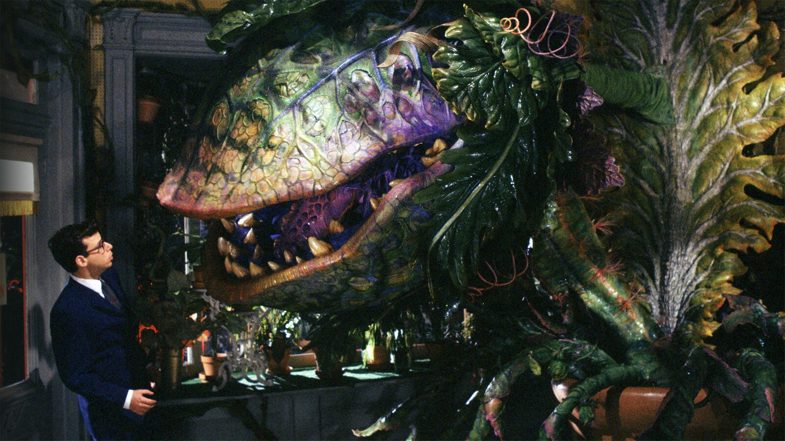 Little Shop of Horrors