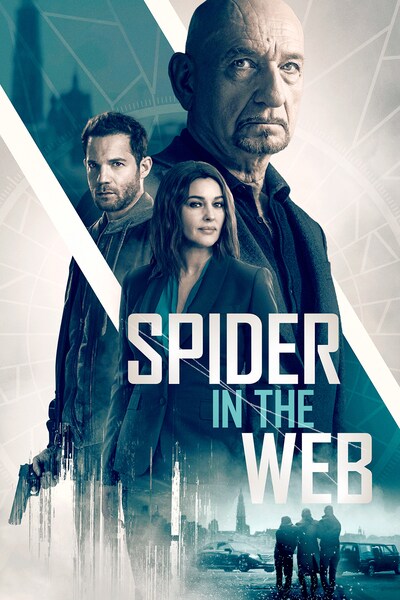 spider-in-the-web-2019