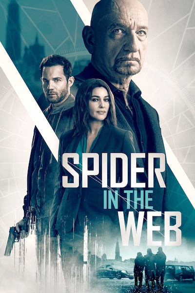 spider-in-the-web-2019