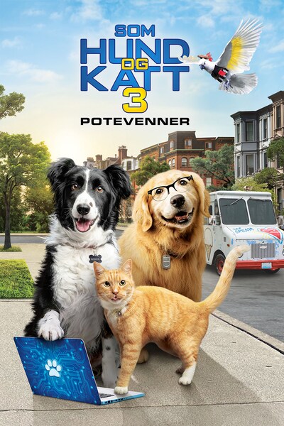 som-hund-og-katt-potevenner-2020
