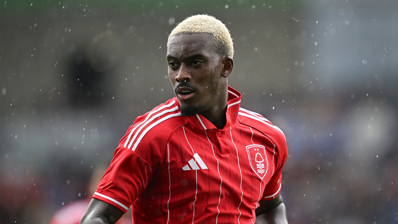 Nottingham Forest - Brentford