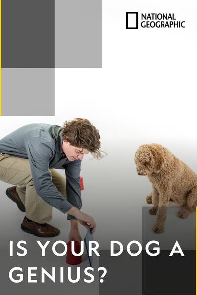 is-your-dog-a-genius
