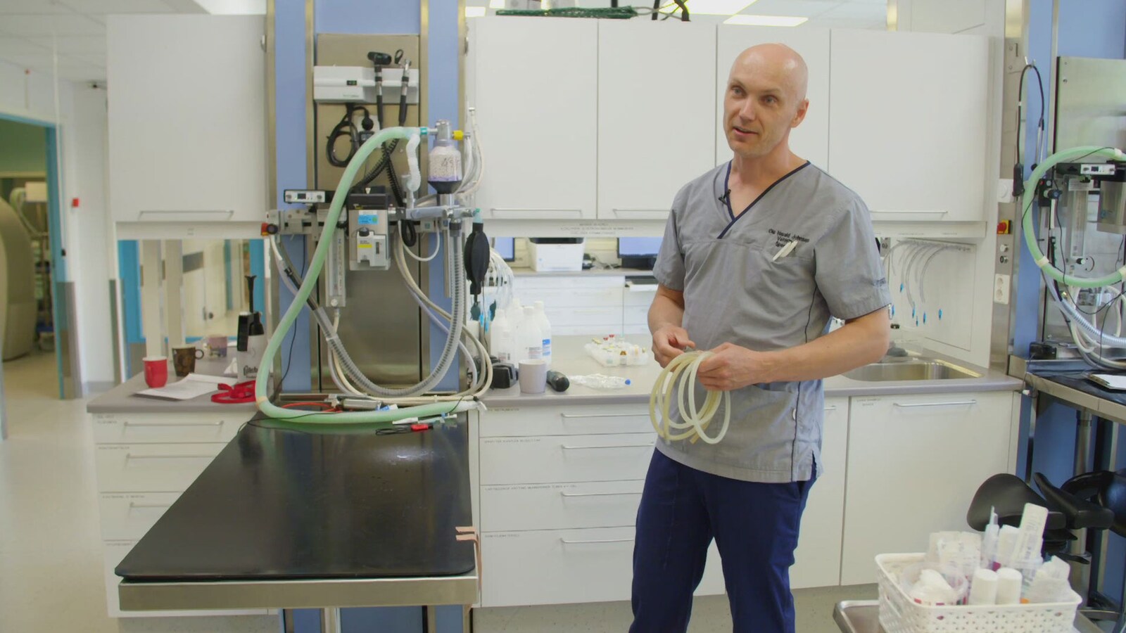 Veterinærene