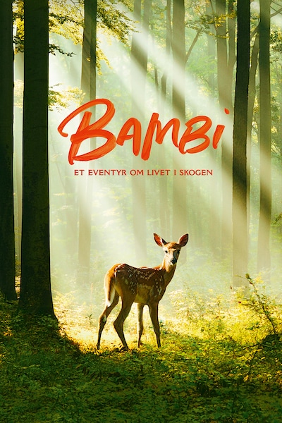 bambi-et-eventyr-om-livet-i-skogen-2024