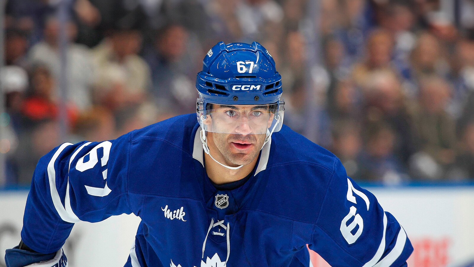 hokej-na-lodzie/nhl/toronto-florida/s25051289478111220
