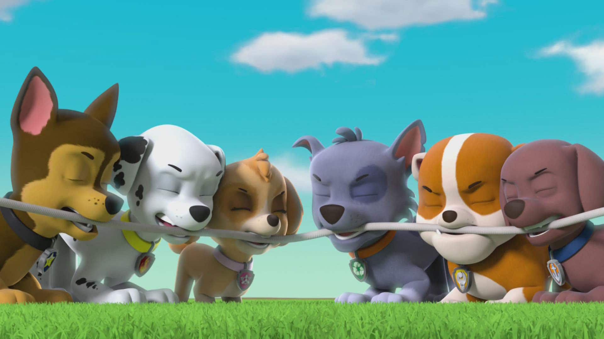 paw patrol episodes