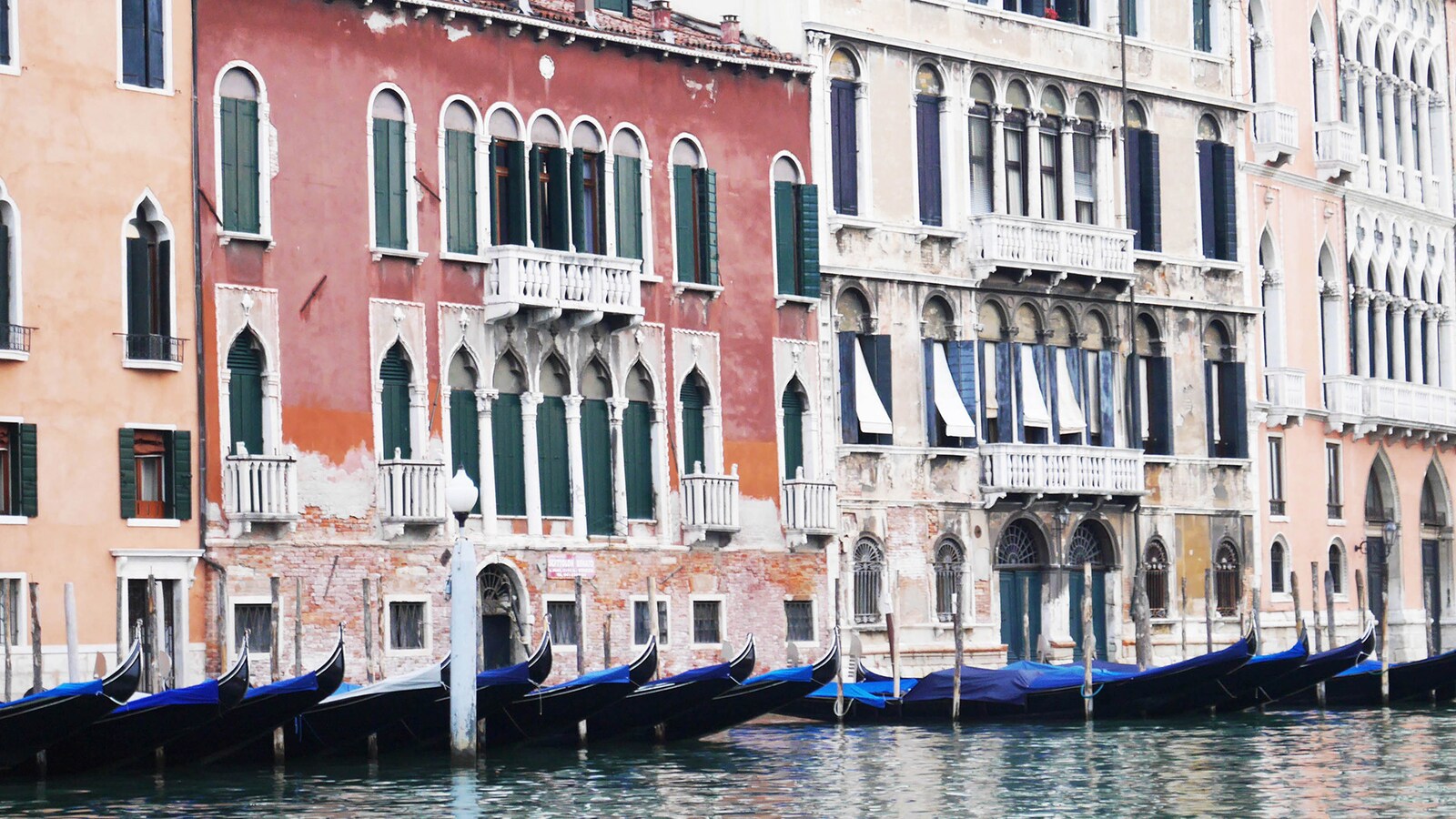 A Taste of the Sun: Venice