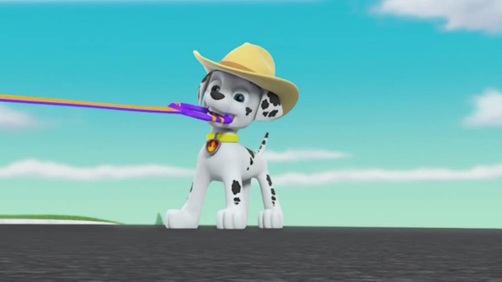 Paw Patroller upoksissa / Varastelevat varikset