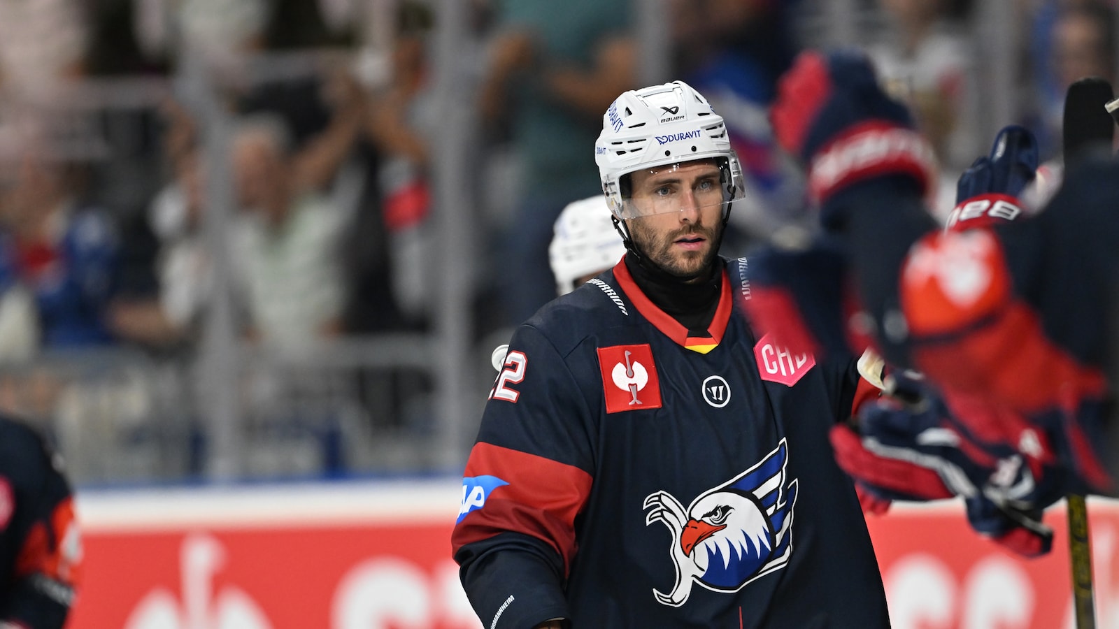 Adler Mannheim - Tychy