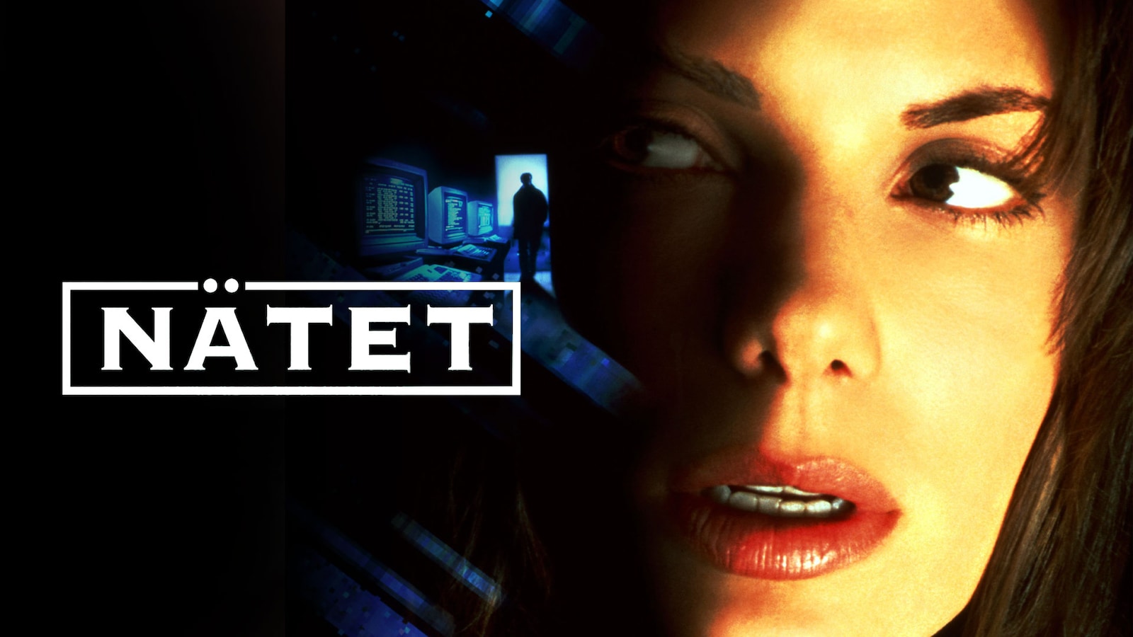 Nätet