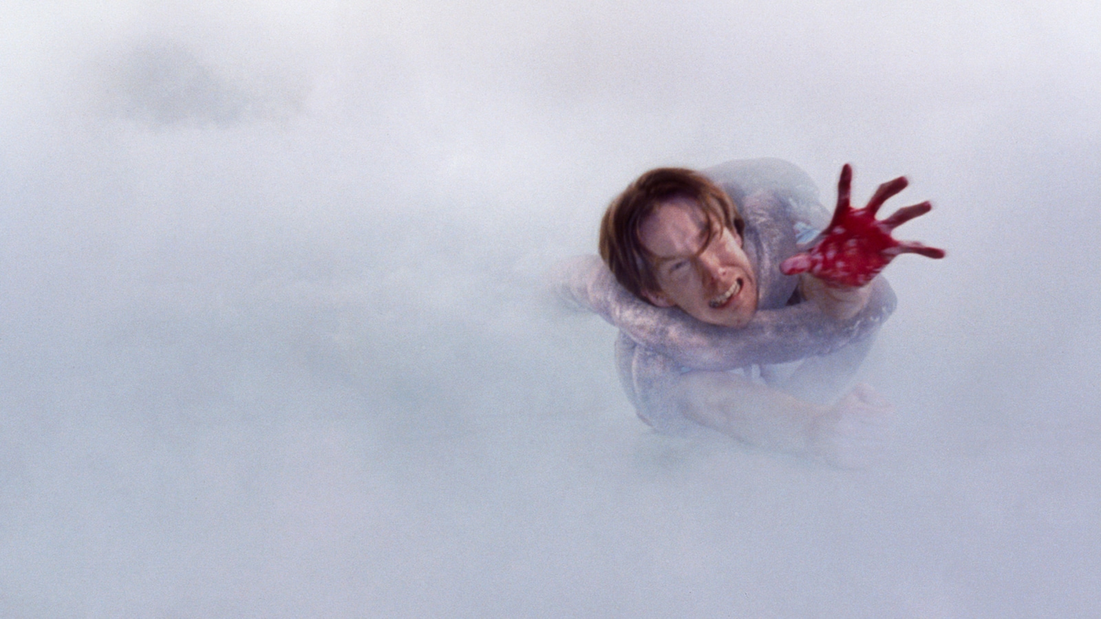 The Mist