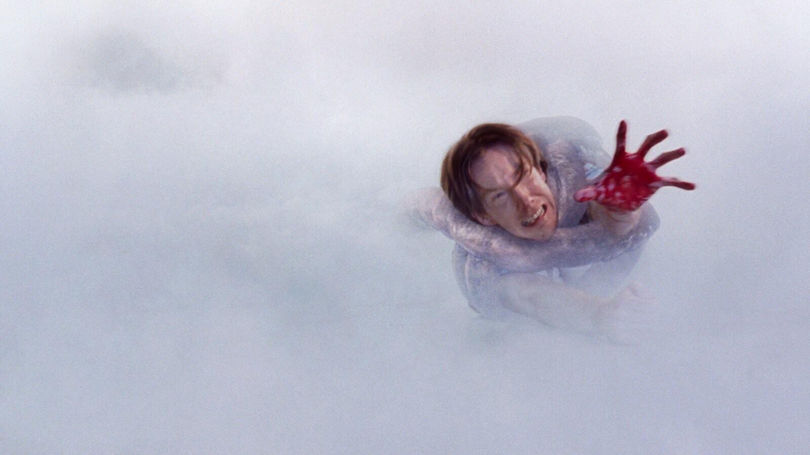 The Mist