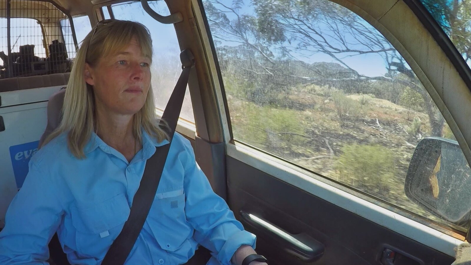 Guldfeber i Australien