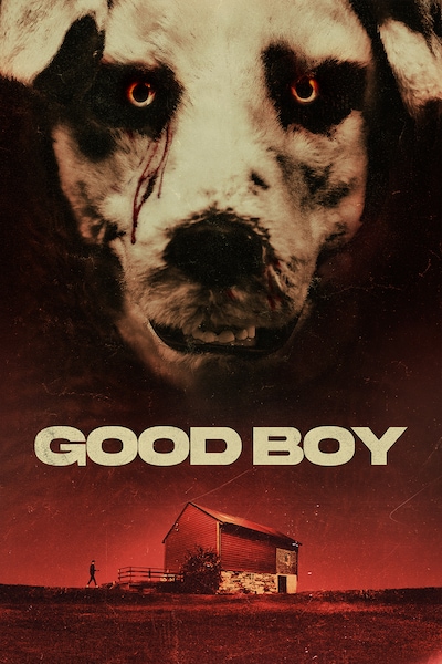 good-boy-2022