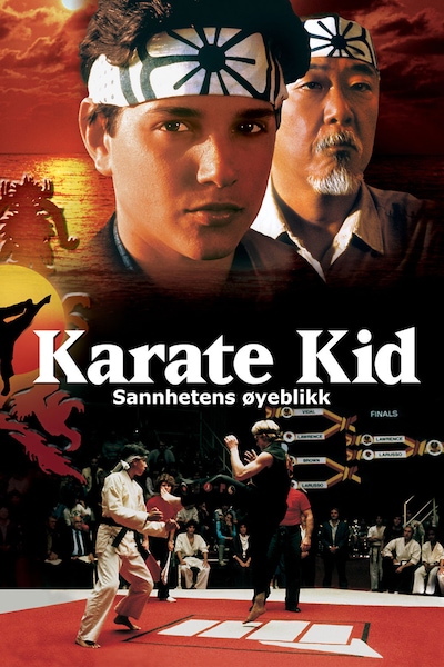 karate-kid-sannhetens-oyeblikk-1984