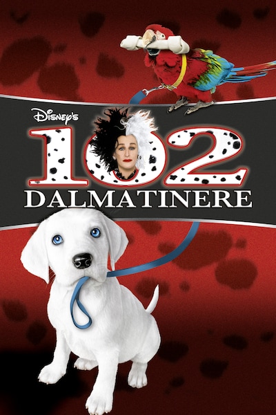 102-dalmatinere-2000