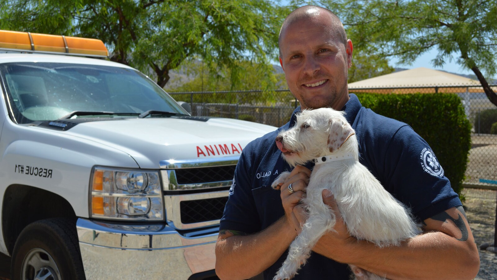 Animal Cops Phoenix TVserier online Viaplay.se