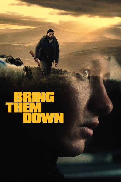 bring-them-down-2024