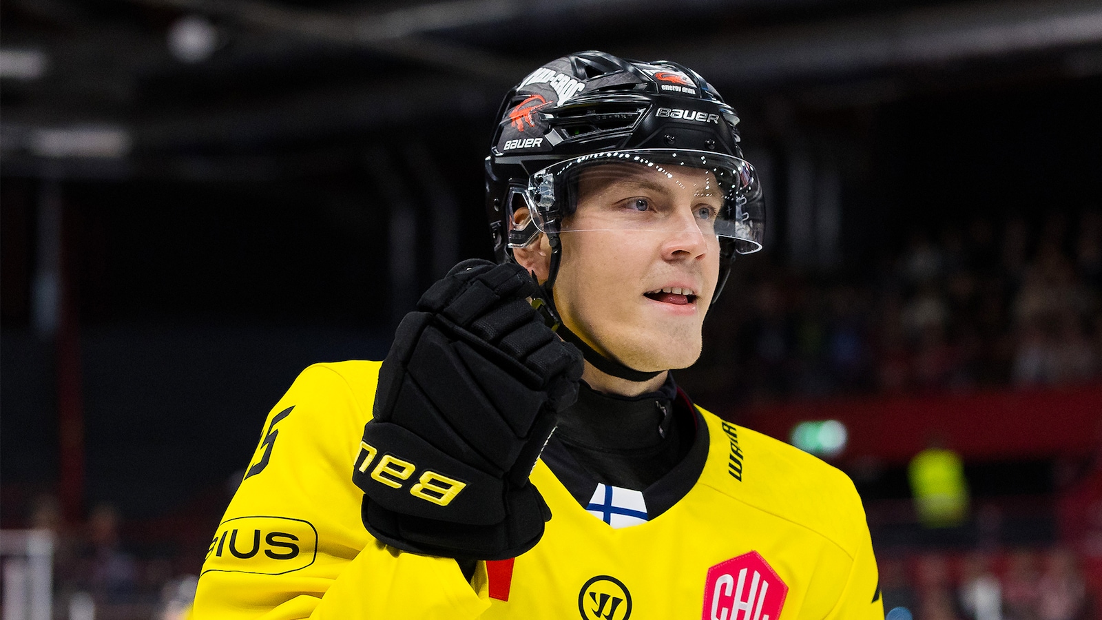 SaiPa - Dynamo Pardubice