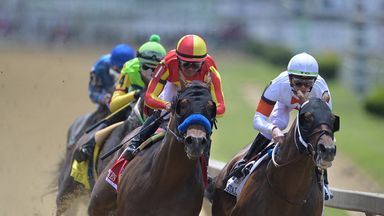 Preakness Stakes