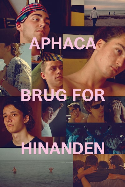 aphaca-brug-for-hinanden-2026