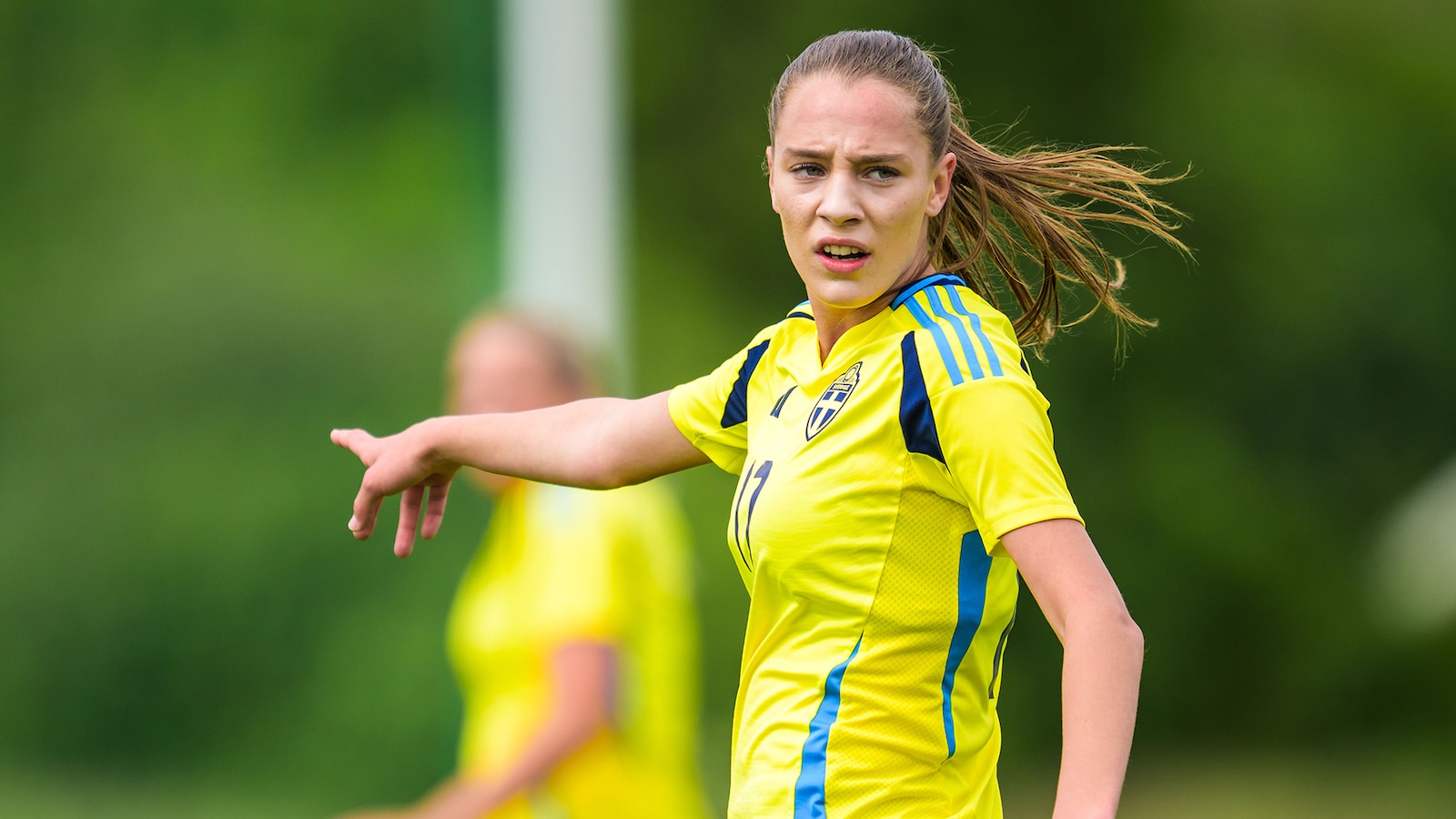 Nederländerna - Sverige