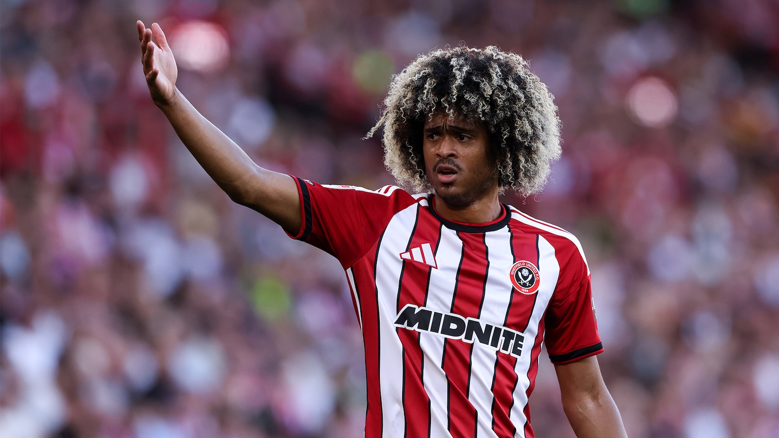 Sheffield United - Norwich