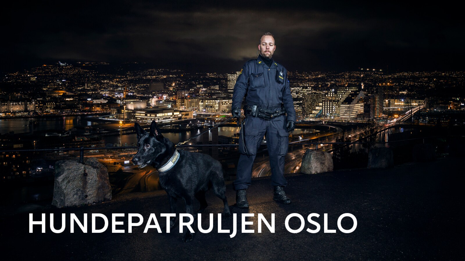Hundepatruljen Oslo