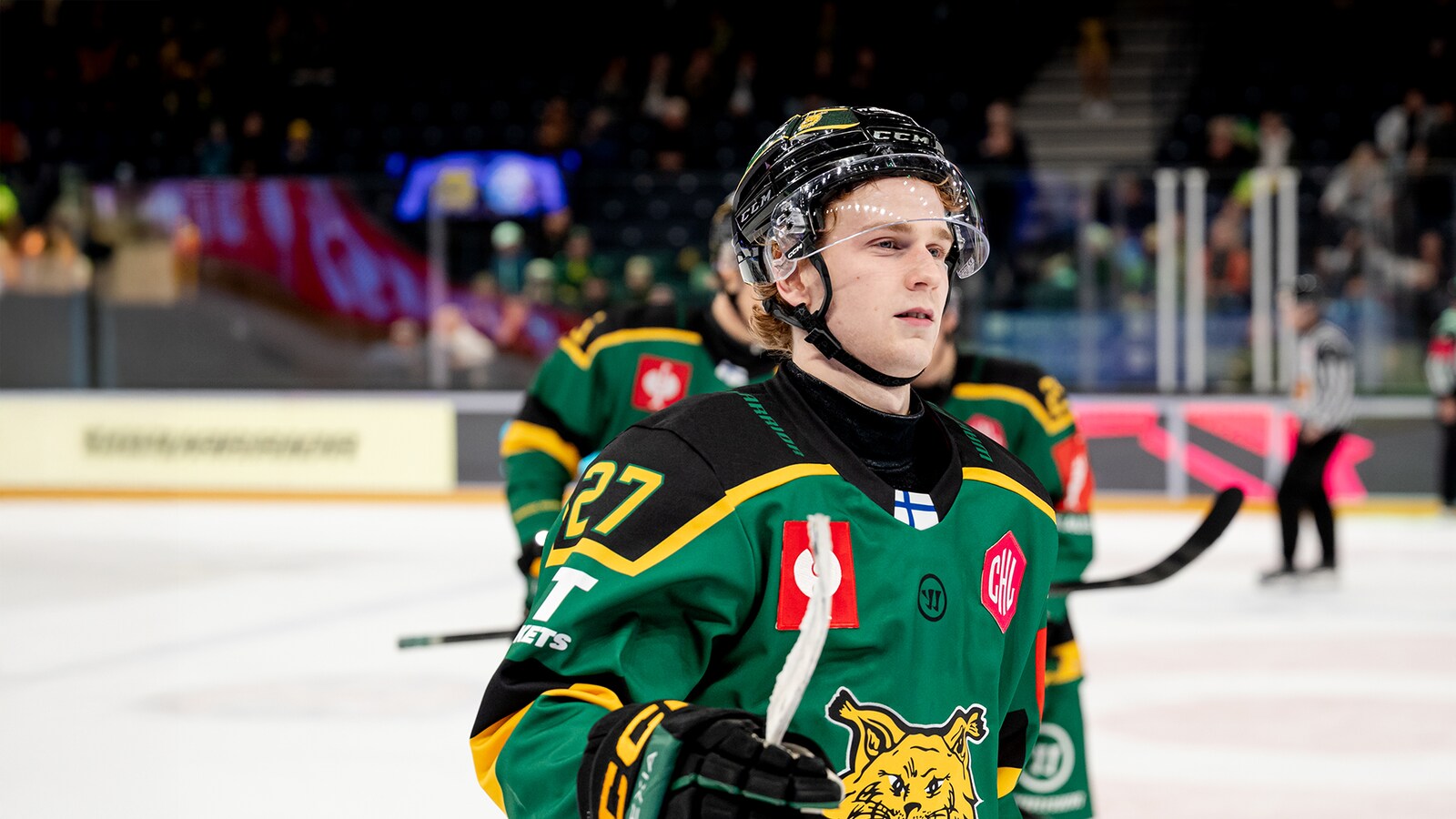 Ilves - Pinguins Bremerhaven