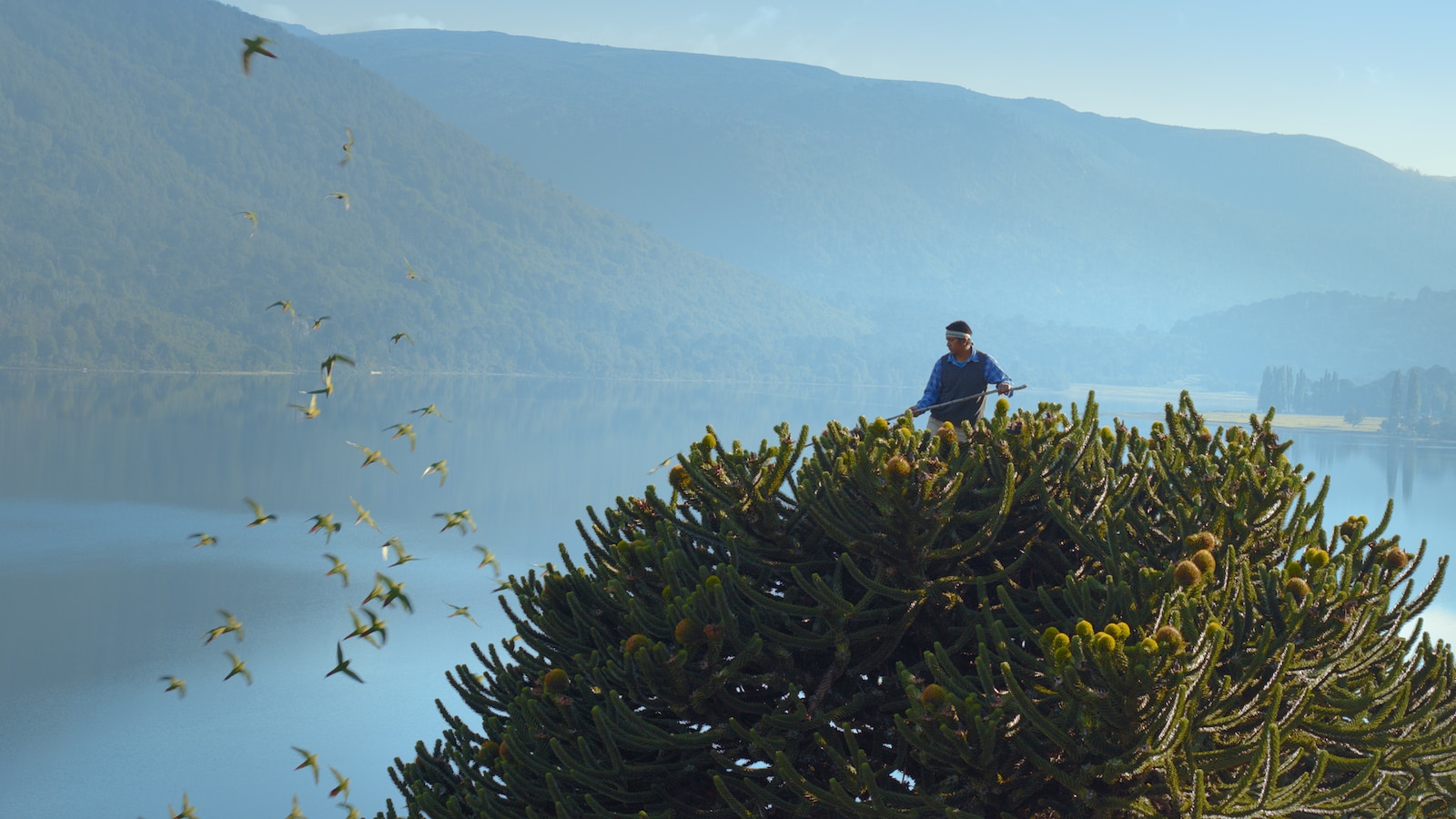 Patagonia: Life on the Edge of the World