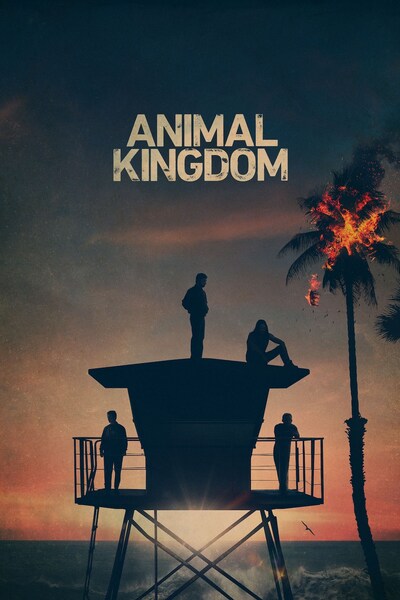 animal-kingdom/sesong-4/episode-7