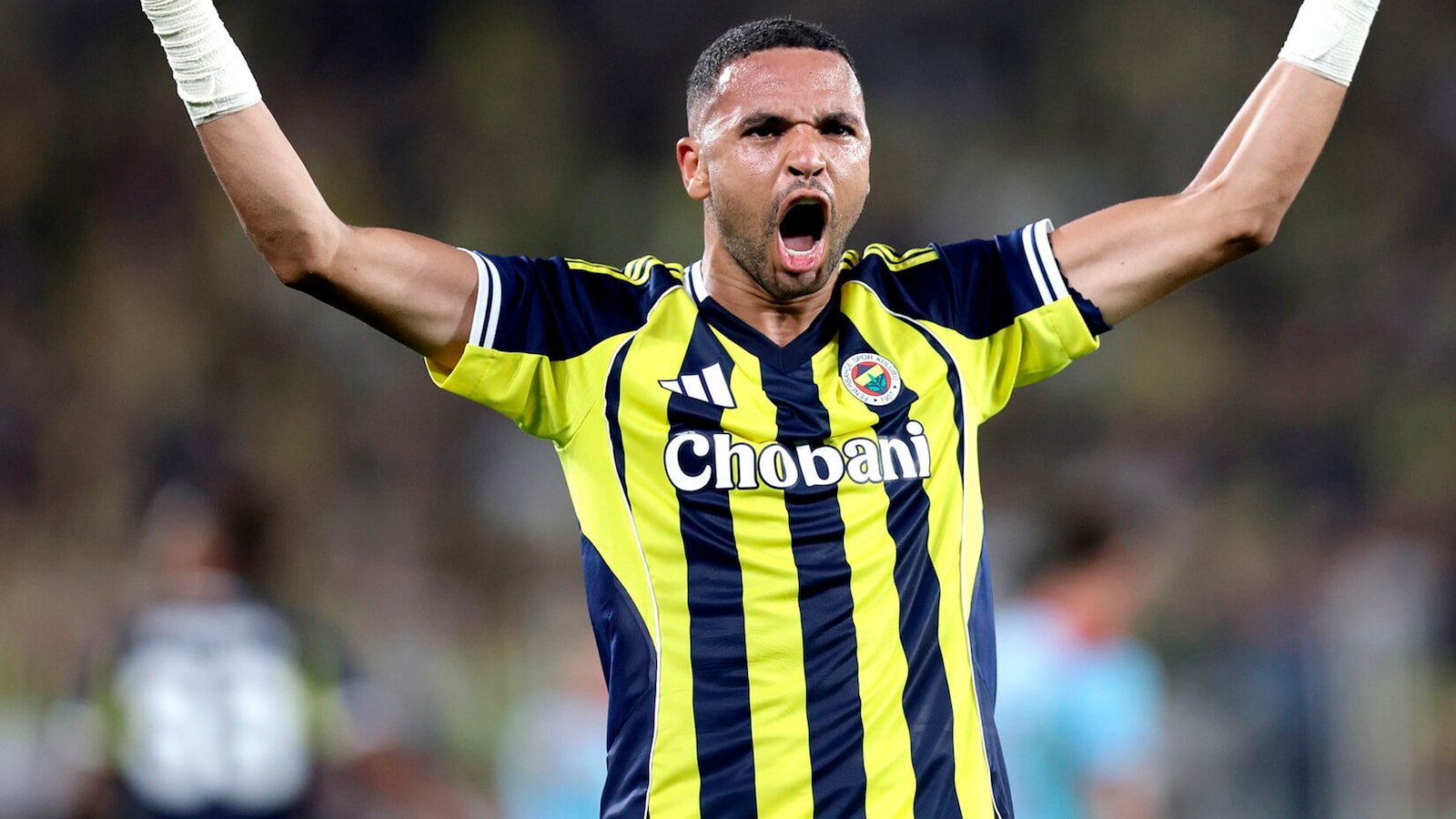 Benfica - Fenerbahçe