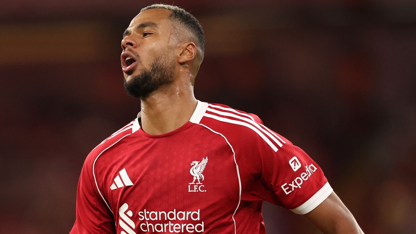 Liverpool - Nottingham Forest