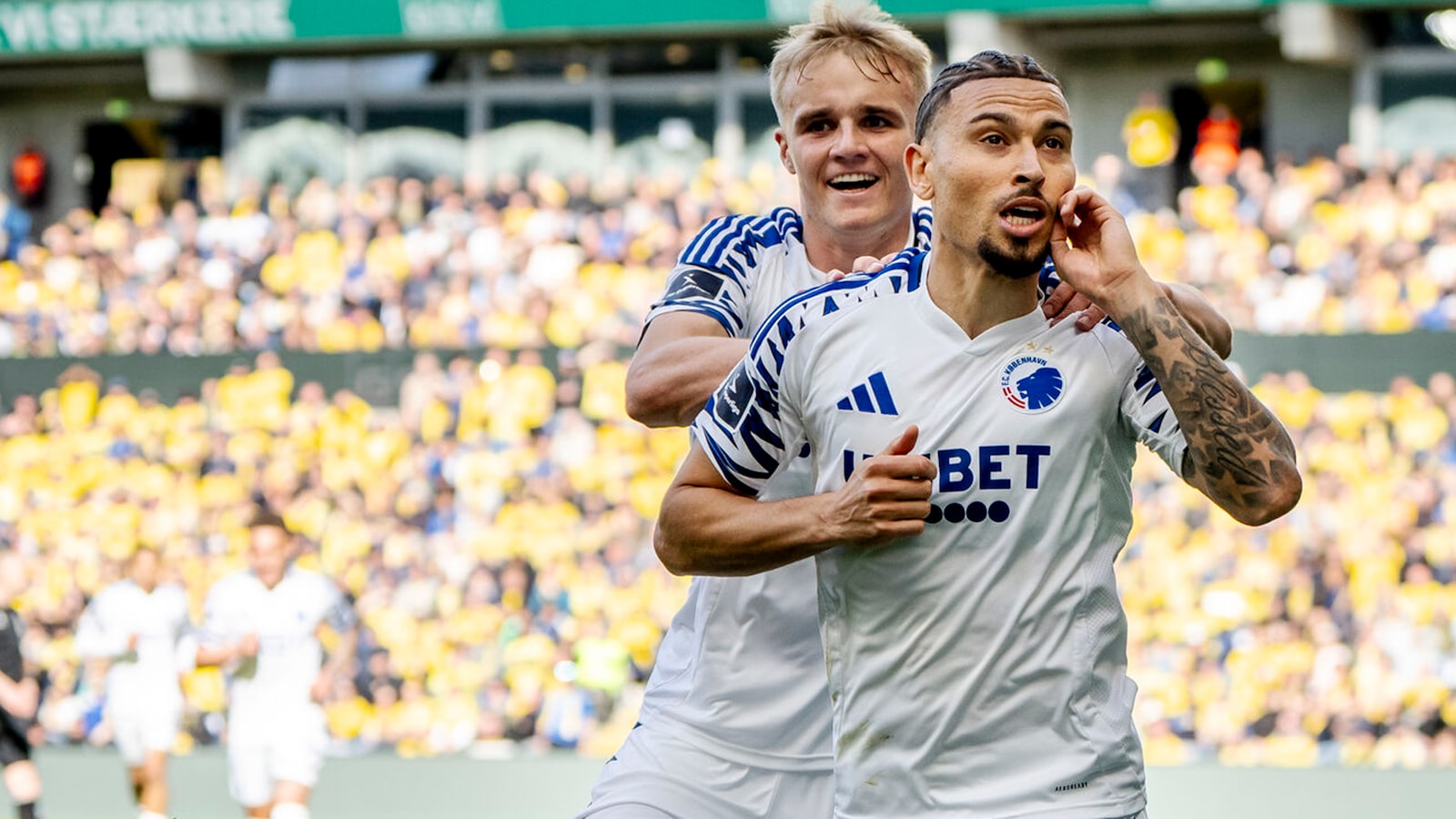 Viborg FF - F.C. København