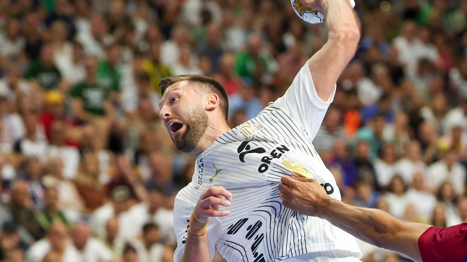 THW Kiel - Flensburg-Handewitt