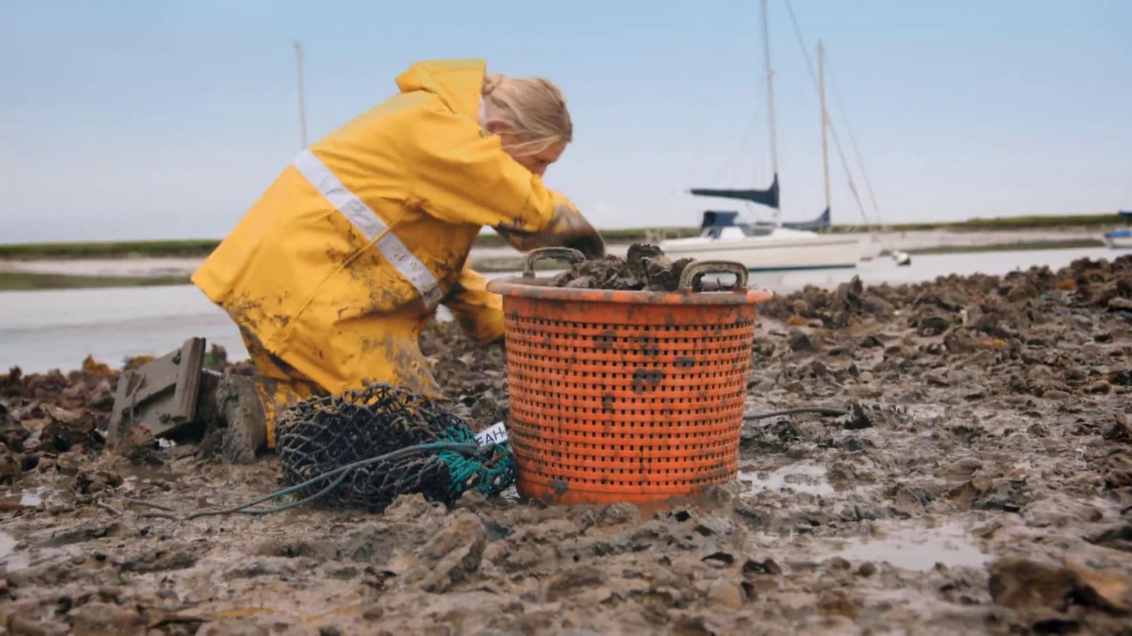 Gordon Ramsay's Future Food Stars
