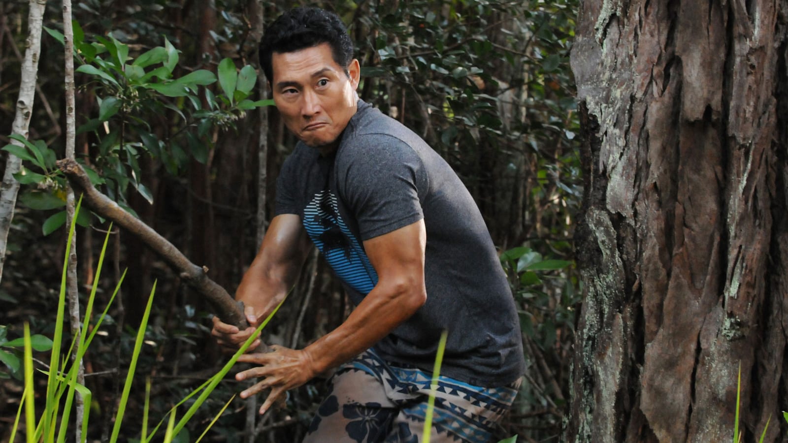 Hawaii Five-0