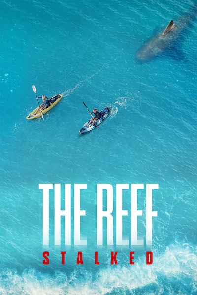 the-reef-stalked-2022