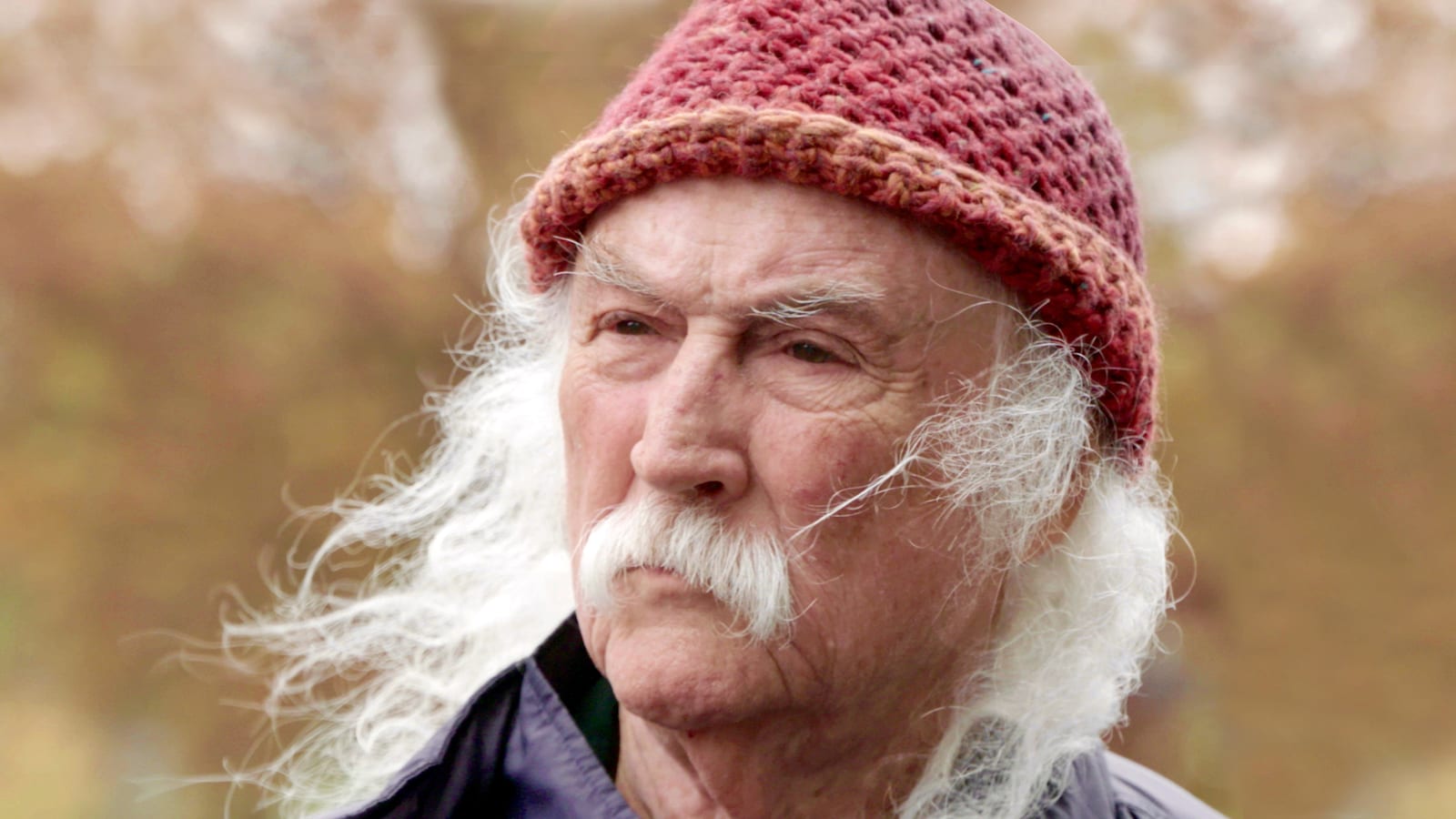 David Crosby: Remember My Name