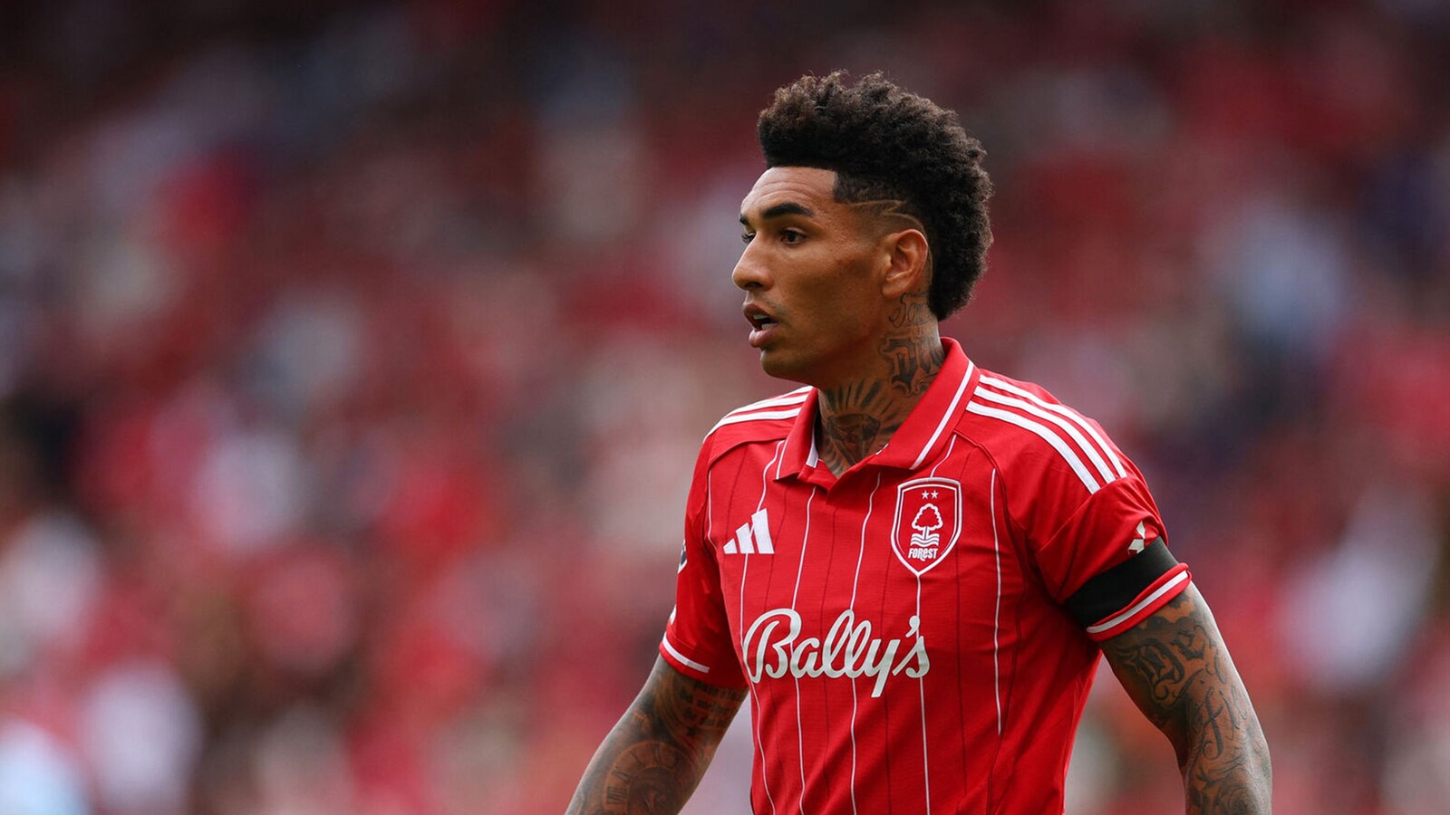 Nottingham Forest - Brighton