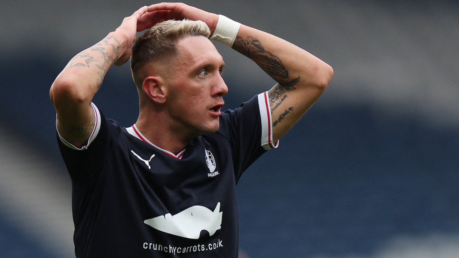 fotboll/scottish-championship/falkirk-hamilton/s25050286088926552