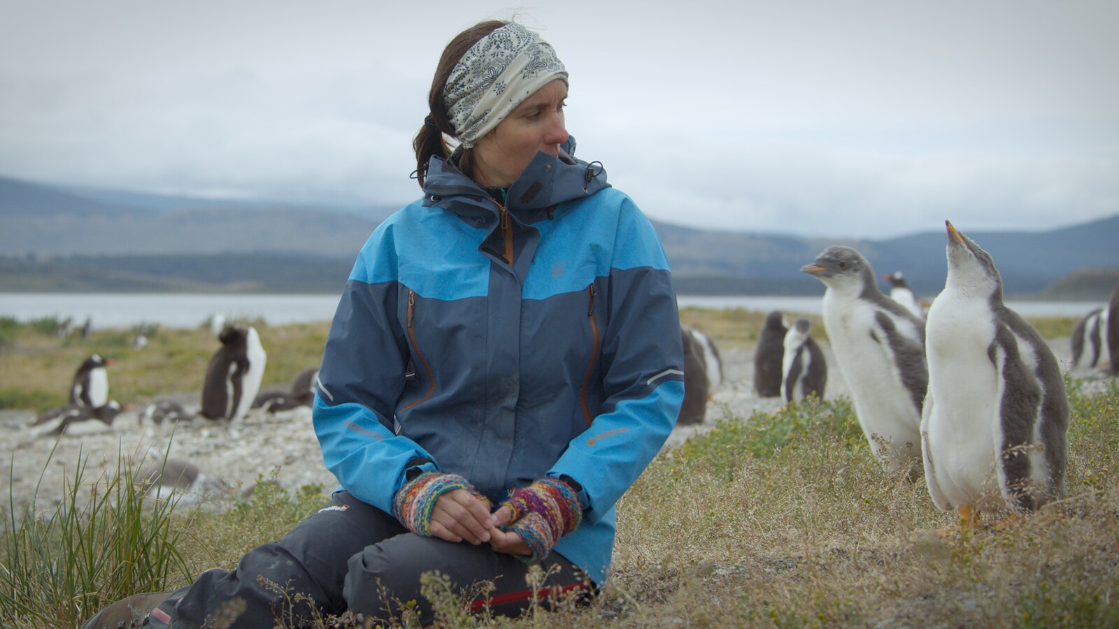 patagonia-life-on-the-edge-of-the-world/saeson-1/afsnit-5