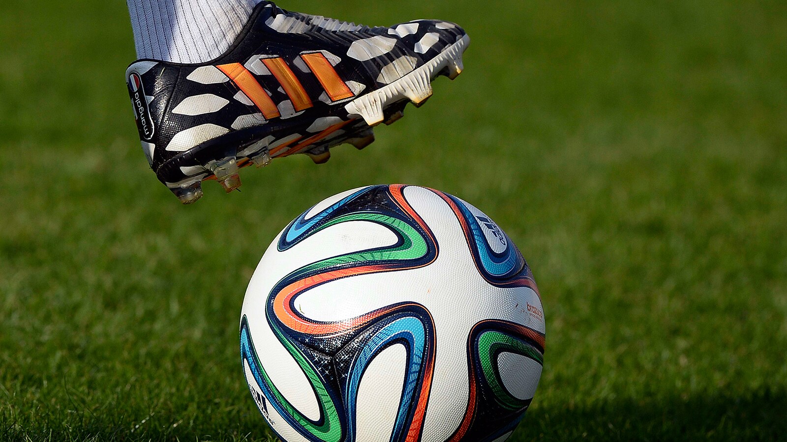 fodbold/uefa-youth-league