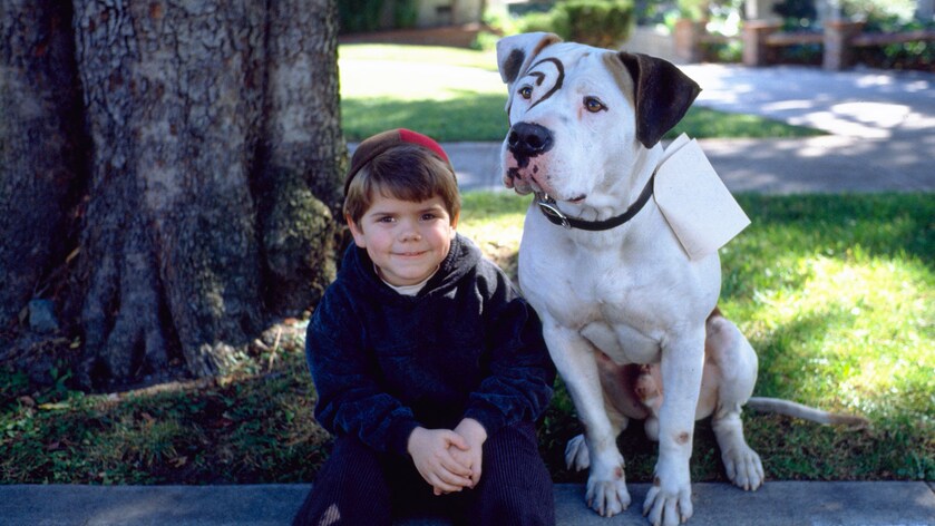 The Little Rascals Film online på Viaplay