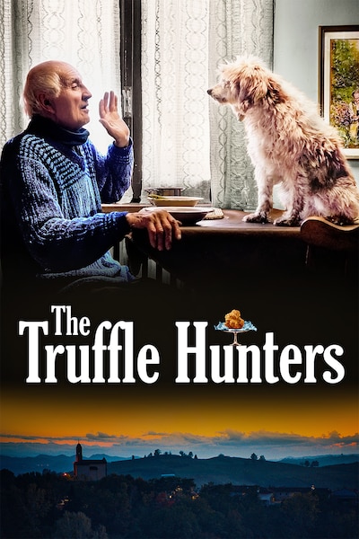 the-truffle-hunters-2020