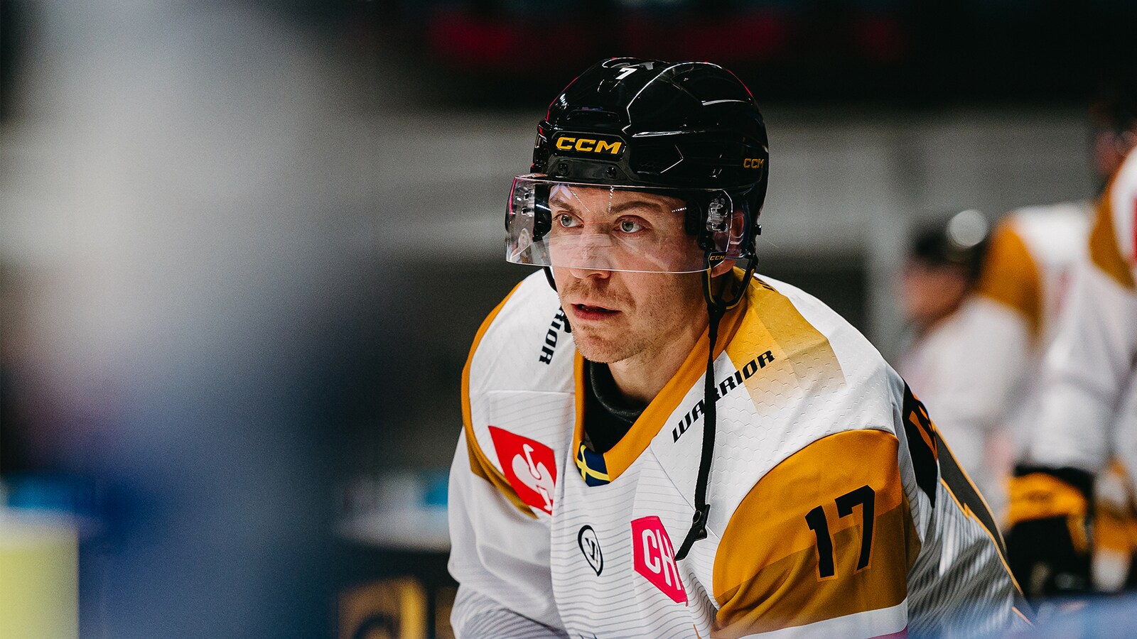 Adler Mannheim - Skellefteå