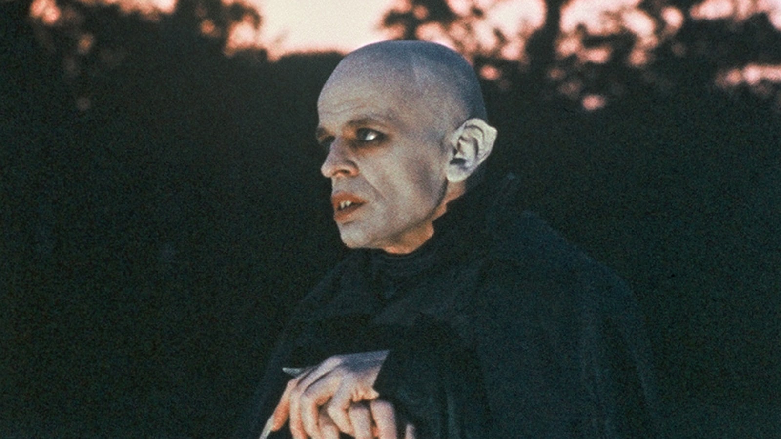 Nosferatu - vampyren